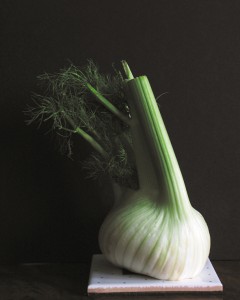 Fenchel - die tolle Knolle